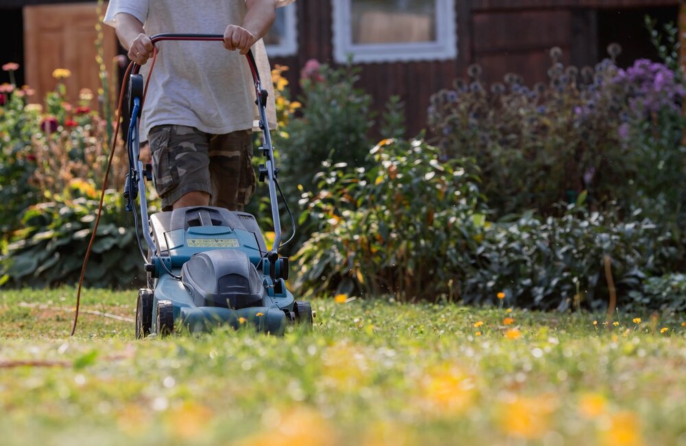Calendrier du jardin de mai : le jardin s'éveille !