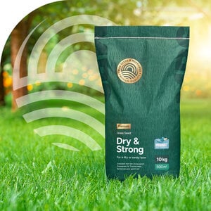 MRS Seeds & Mixtures Dry & Strong - Gazon résistant à la sécheresse 10 kg MRS Seeds & Mixtures Dry & Strong - Gazon résistant à la sécheresse 10 kg