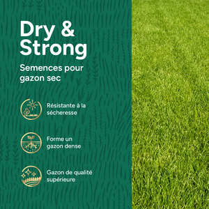 MRS Seeds & Mixtures Dry & Strong - Gazon résistant à la sécheresse 10 kg MRS Seeds & Mixtures Dry & Strong - Gazon résistant à la sécheresse 10 kg