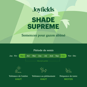 Joyfields Shade Supreme - Semences de gazon pour l’ombre