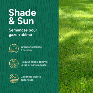 MRS Seeds & Mixtures Shade & Sun - Semence Gazon Ombre 10 kg