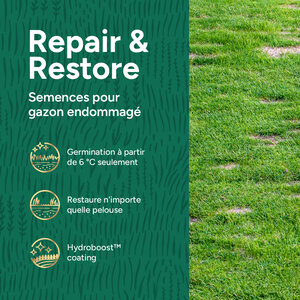 MRS Seeds & Mixtures Repair & Restore - Semence gazon réparation 10 kg MRS Seeds & Mixtures Repair & Restore - Semence gazon réparation 10 kg