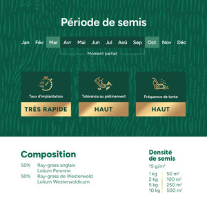 MRS Seeds & Mixtures Repair & Restore - Semence gazon réparation 10 kg MRS Seeds & Mixtures Repair & Restore - Semence gazon réparation 10 kg