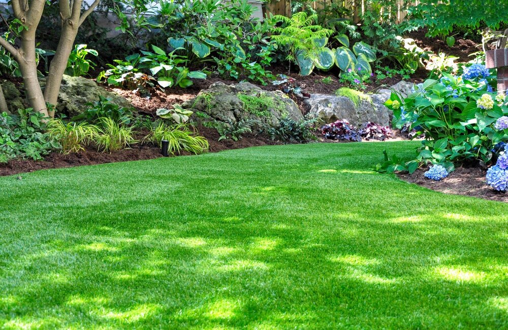 Le Jardin des ombres - Une oasis de verdure sans soleil Le Jardin des ombres - Une oasis de verdure sans soleil