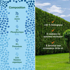 Joyfields Hedge Care – Engrais pour haies, ifs et conifères