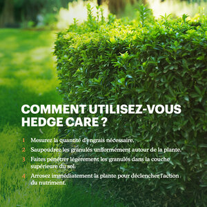 Joyfields Hedge Care – Engrais pour haies, ifs et conifères