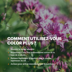 Joyfields Color Plus – Engrais pour rhodo, hortensia et azalée