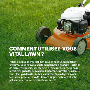 Joyfields Vital Lawn - Engrais pour gazon avec chaux