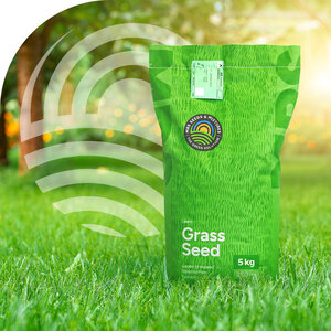 MRS Seeds & Mixtures Fast Repair - Gazon professionnel de regarnissage