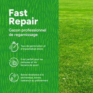 MRS Seeds & Mixtures Fast Repair - Gazon professionnel de regarnissage