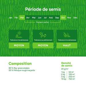 MRS Seeds & Mixtures Fast Repair - Gazon professionnel de regarnissage