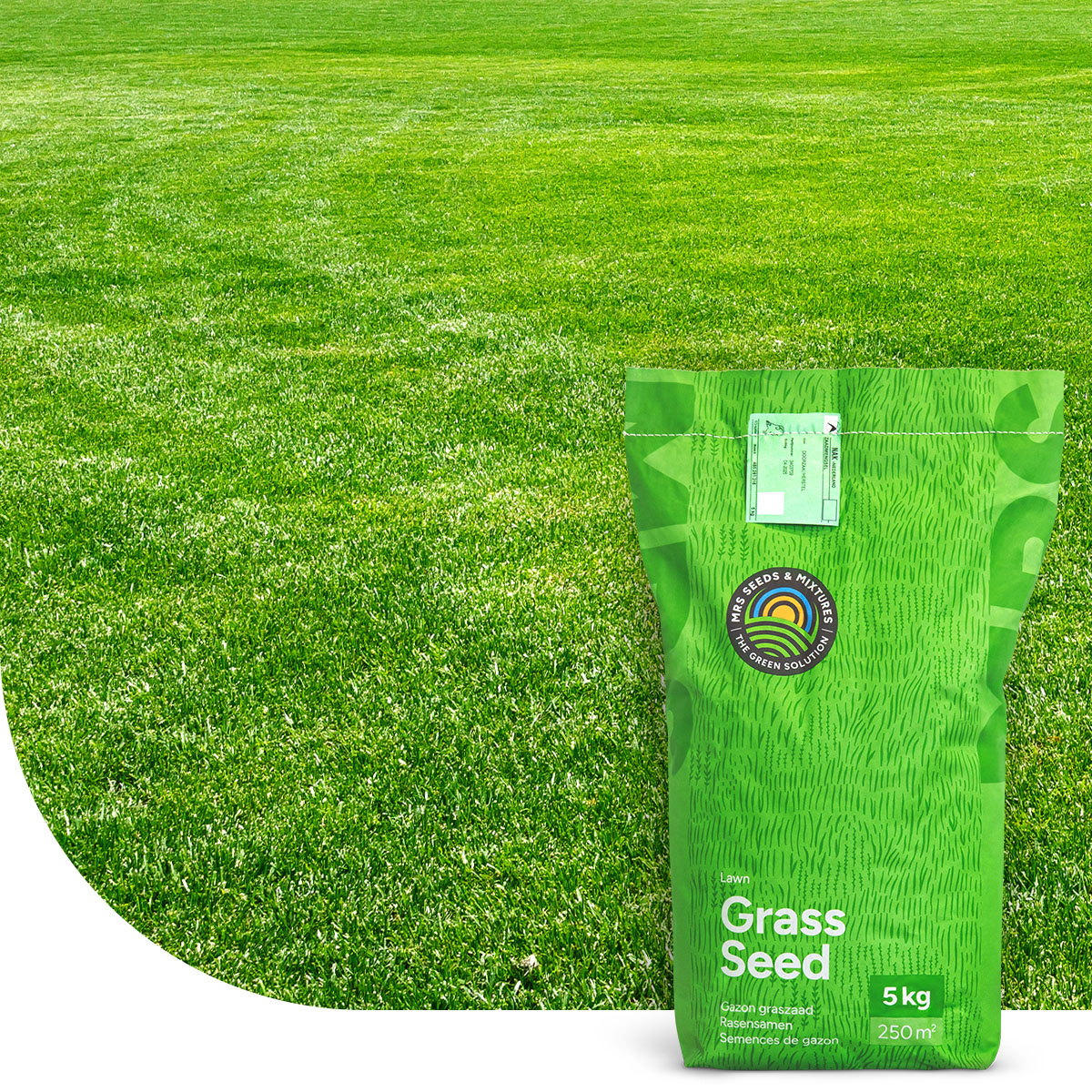 Semence Gazon Fast Repair - 1 Kg Pour 50 M², Germination Rapide, Pelouse Dense Et Résistante