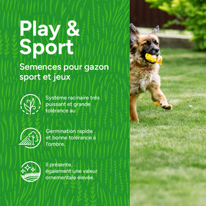 MRS Seeds & Mixtures Play & Sport - Gazon Sport et Jeux MRS Seeds & Mixtures Play & Sport - Gazon Sport et Jeux
