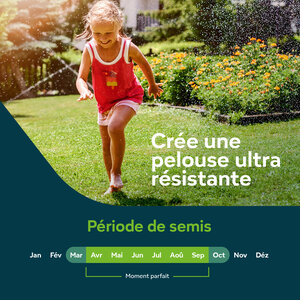 Sowgood Semences de gazon pour sport et jeux 10 kg - 500 m² Sowgood Semences de gazon pour sport et jeux 10 kg - 500 m²