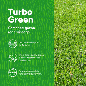 MRS Seeds & Mixtures Turbo Green - Semence gazon regarnissage | Pousse ultra rapide