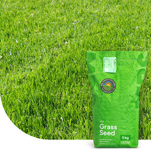 MRS Seeds & Mixtures Turbo Green - Semence gazon regarnissage | Pousse ultra rapide