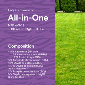 MRS Seeds & Mixtures All-in-One - Engrais pour gazon avec chaux | 20 kg - 500 m²