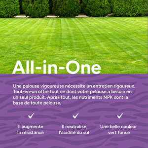 MRS Seeds & Mixtures All-in-One - Engrais pour gazon avec chaux | 20 kg - 500 m²