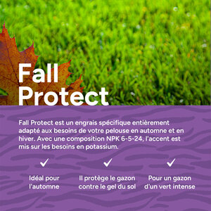 MRS Seeds & Mixtures Fall Protect - Engrais pour gazon d'automne | 20 kg - 500 m²