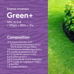 MRS Seeds & Mixtures Green+ Extra Vert & Anti Mousse | 20 kg - 500 m²