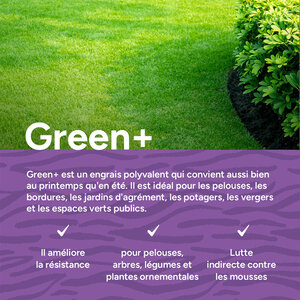MRS Seeds & Mixtures Green+ Extra Vert & Anti Mousse | 20 kg - 500 m²