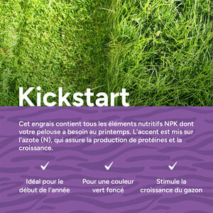 MRS Seeds & Mixtures Kickstart - Engrais pour gazon de printemps | 20 kg - 500 m²