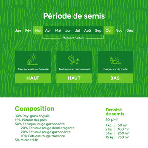 MRS Seeds & Mixtures Clover Lawn - Semences de gazon avec micro-trèfle