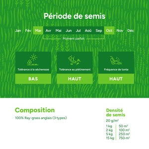MRS Seeds & Mixtures Turbo Green - Semence gazon regarnissage | Pousse ultra rapide