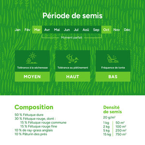 MRS Seeds & Mixtures EasyMow - Semences de gazon | Peu d'entretien