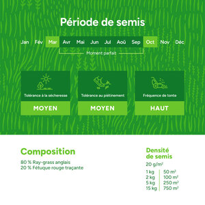 MRS Seeds & Mixtures Repair & Restore - Gazon professionnel de regarnissage