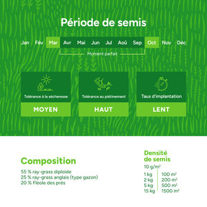 MRS Seeds & Mixtures Horse - Recovery mix | Pâturage de chevaux pour sursemé