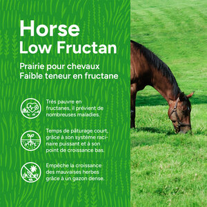 MRS Seeds & Mixtures Horse – Prairie pour chevaux | Faible teneur en fructane