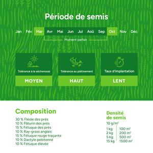 MRS Seeds & Mixtures Horse – Prairie pour chevaux | Faible teneur en fructane