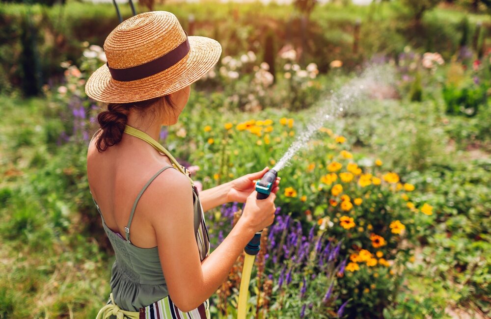 Calendrier du jardinage pour le mois de juillet : conseils pour un jardin estival !
