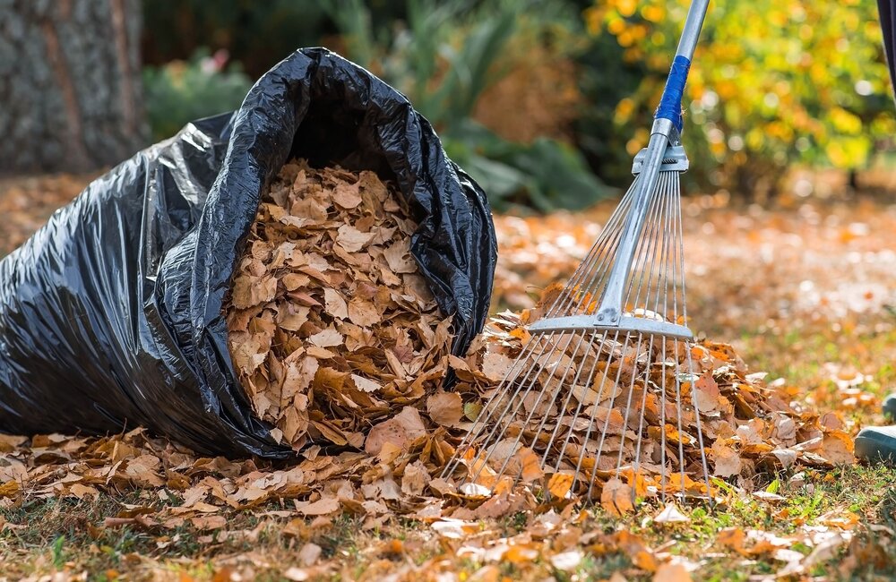 Fabriquez votre propre paillis à partir de feuilles mortes