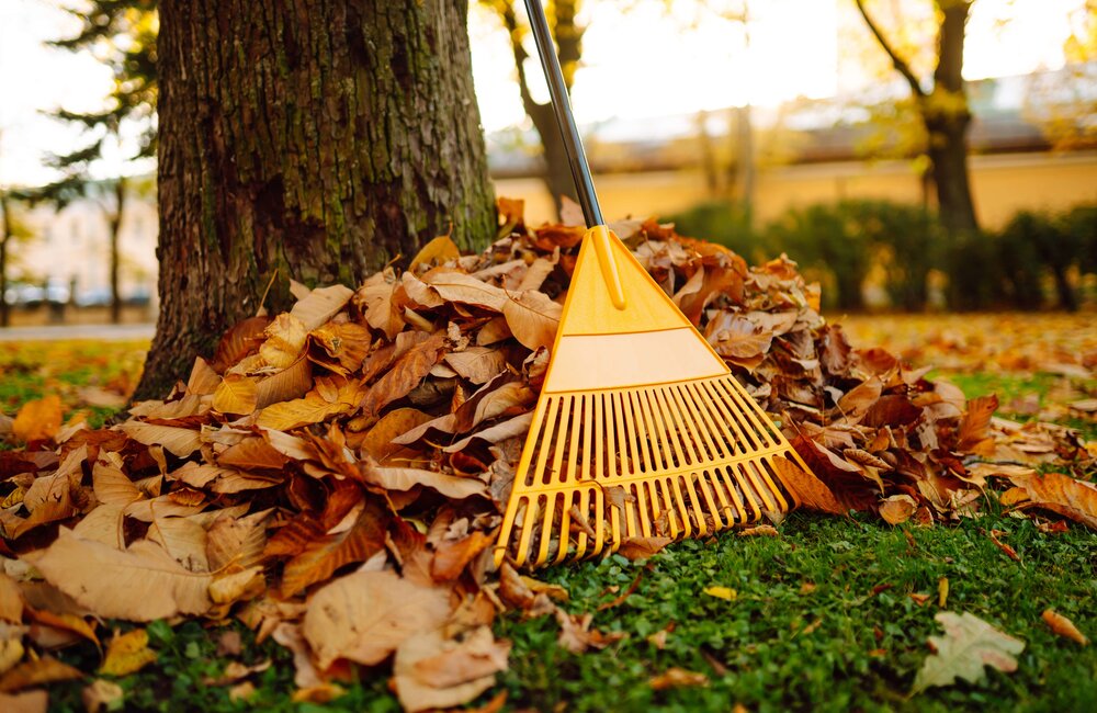 Tâches d'automne dans le jardin