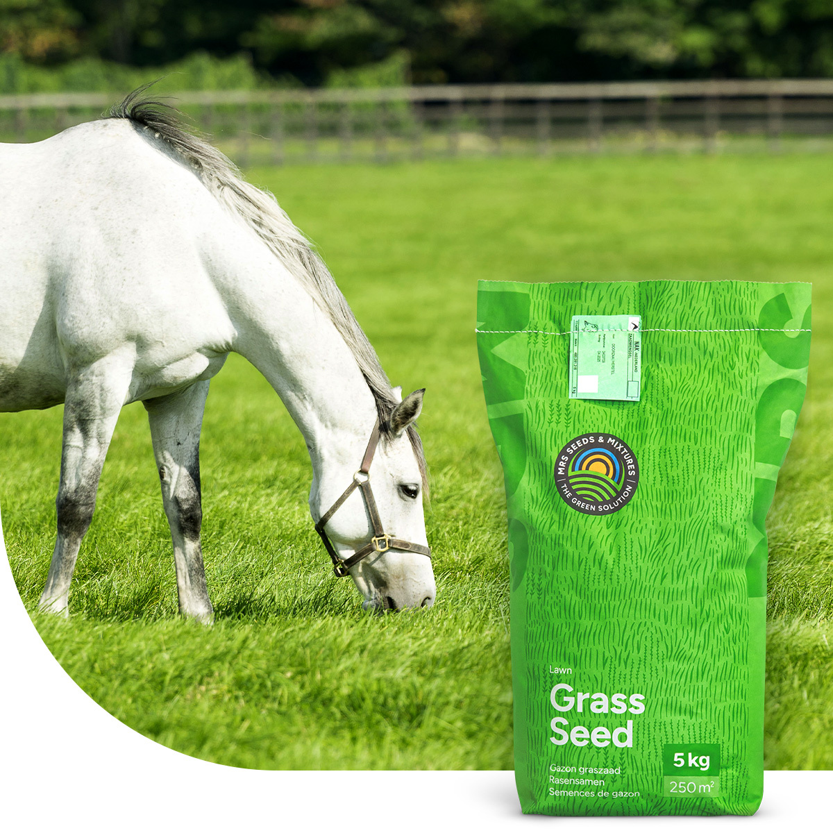 Mélange De Graines Horse Elite Pour Pâturage – 5 Kg Pour 500 M² – Spécial Chevaux Et Petit Bétail – Couverture Rapide, Entretien Facile