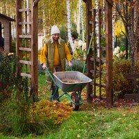 Calendrier du jardinage pour le mois d’octobre 