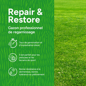 MRS Seeds & Mixtures Repair & Restore - Gazon professionnel de regarnissage
