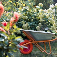 Calendrier du jardinage en septembre