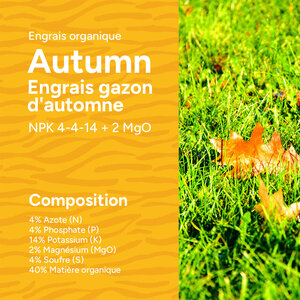MRS Seeds & Mixtures Autumn - Engrais organique gazon d'automne | 18KG-360m2