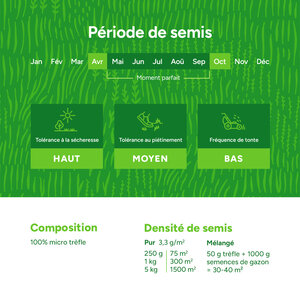 MRS Seeds & Mixtures Micro Trèfle - Trèfle de Pelouse