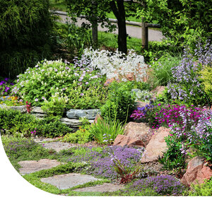 MRS Seeds & Mixtures Type M6 - Mélange de fleurs joint de pavé