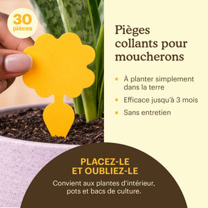 Joyfields Plaques pièges – pièges collants contre les moucherons