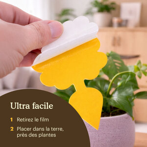 Joyfields Plaques pièges – pièges collants contre les moucherons