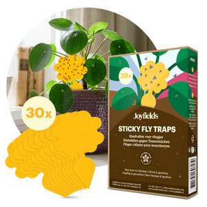 Joyfields Plaques pièges – pièges collants contre les moucherons