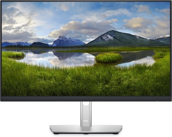 Dell Dell P2422HE 23,8 inch USB-C Hub Monitor (DELL-P2422HE)