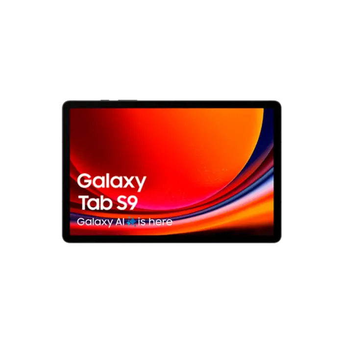 Samsung Samsung Galaxy Tab S9 256GB WiFi Grijs - 11 inch AMOLED tablet met S Pen