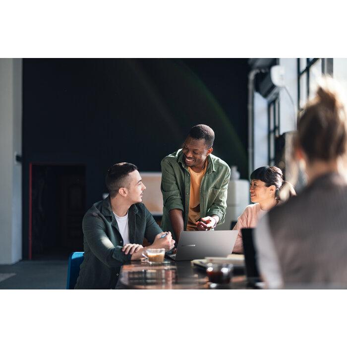 Asus ASUS ExpertBook P5405CSA-NZ0174X (90NX0861-M00740)