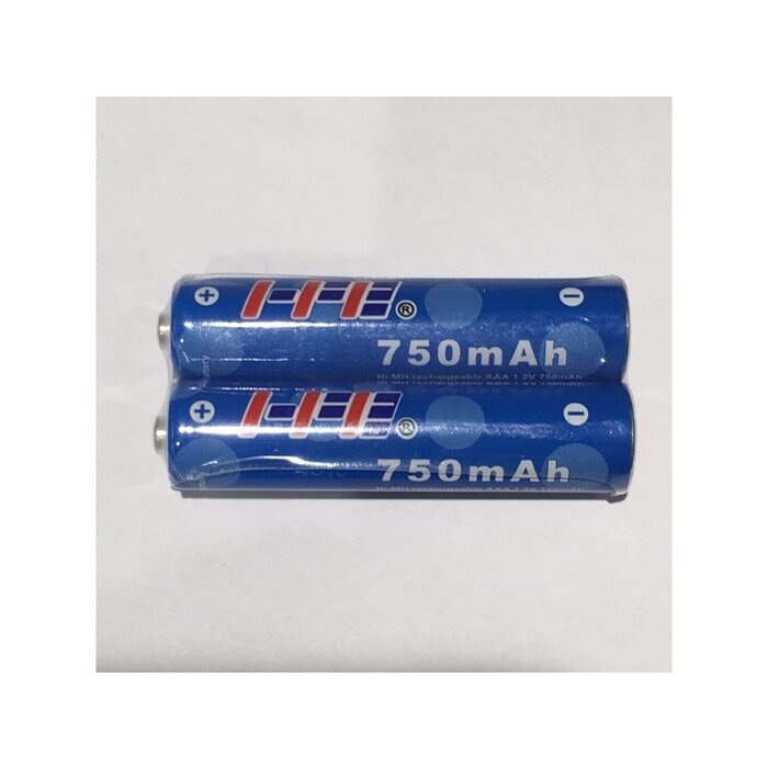 Gigaset Gigaset Oplaadbare AAA Batterijen (2 stuks) (V30145-K1310-X308)